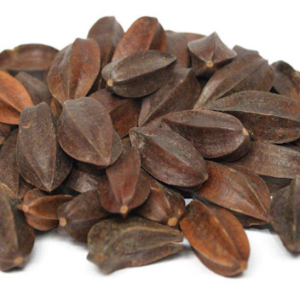 100g Natural Raw Herb Fructus Quisqualis - Shi Jun Zi - 使君子