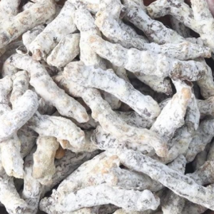 100g Natural Raw Herb Bombyx  Batryticatus - Jiang Can - 僵蚕