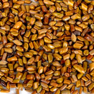 100g Natural Raw Herb Semen Cassiae Torae - Jue Ming Zi - 决明子