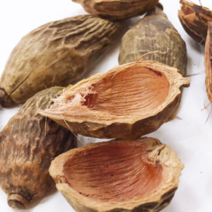 100g Natural Raw Herb Pericarpium Arecae Catechu - Da Fu Pi - 大腹皮