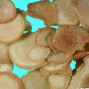 100g Natural Raw Herb Rhizoma Arisaematis Preparatum - Tian Nan Xing Zhi - 天南星制