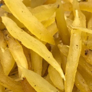 100g Natural Raw Herb Tuber Asparagi Cochinchinenses - Tian Men Dong - 天门冬