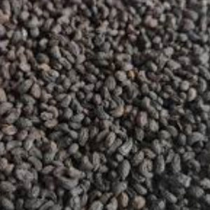 100g Natural Raw Herb Fructus Ligustri Lucidi - Nu Zhen Zi - 女贞子