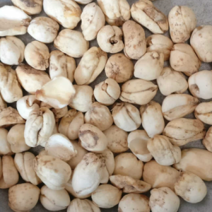 100g Natural Raw Herb Bulbus Fritillariae Cirrhosae - Chuan Bei Mu - 川贝母