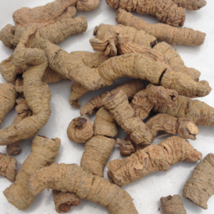 100g Natural Raw Herb Radix Morindae Officinalis - Ba Ji Tian - 巴戟天