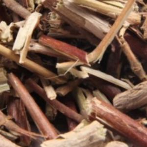 100g Natural Raw Herb Lonicera japonica Thunb. - Ren Dong Teng - 忍冬藤