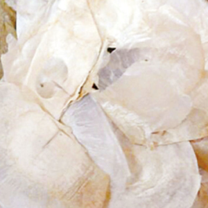 100g Natural Raw Herb Oroxyli Semen - Mu Hu Die - 木蝴蝶