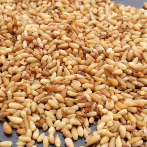 100g Natural Raw Herb Platycladi Semen - Bai Zi Ren - 柏子仁