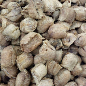 100g Natural Raw Herb Ootheca Mantidis - Sang Piao Xiao - 桑螵蛸