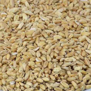 100g Natural Raw Herb Semen Tritici Aestivi Levis - Fu Xiao Mai - 浮小麦