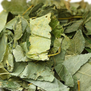 100g Natural Raw Herb Herba Epimedii - Yin Yang Huo - 淫羊藿
