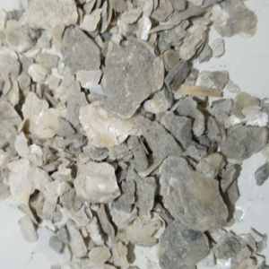 100g Natural Raw Herb Ostrea gigas shell, calcined - 牡蛎（煅） - 牡蛎（煅）