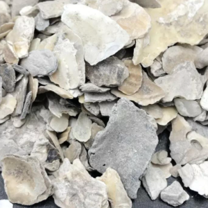 100g Natural Raw Herb Concha Ostreae - Mu Li - 牡蛎