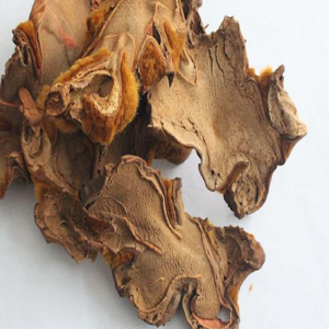 100g Natural Raw Herb Rhizoma Cibotii Barometsis - Gou Ji - 狗脊