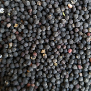 100g Natural Raw Herb Semen Vaccariae Segetalis - Wang Bu Liu Xing - 王不留行