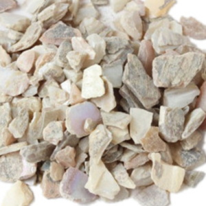 100g Natural Raw Herb Concha Margaritifera - Zhen Zhu Mu - 珍珠母