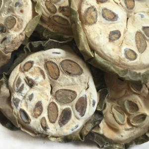 100g Natural Raw Herb Fructus Trichosanthis Kirlowii - Gua Lou - 瓜蒌