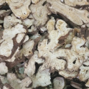 100g Natural Raw Herb Rhizoma Atractylodis Macrocephalae - Sheng Bai Zhu - 生白术