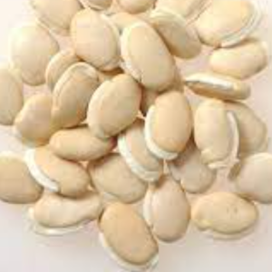 100g Natural Raw Herb Semen Dolichoris Lablab - Bai Bian Dou - 白扁豆