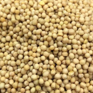 100g Natural Raw Herb Semen Sinapis Albae - Bai Jie Zi - 白芥子