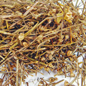 100g Natural Raw Herb Herba Hedyotidis Diffusae - Bai Hua She She Cao - 白花蛇舌草