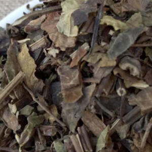 100g Natural Raw Herb Salvia chinensis Benth - Shi Jian Chuan - 石见穿