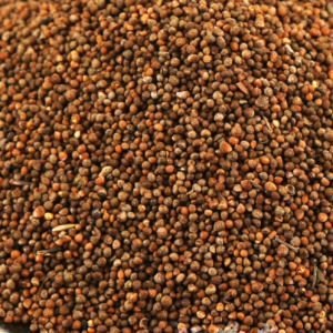 100g Natural Raw Herb Fructus Perillae Frutescentis - Zi Su Zi - 紫苏子