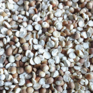 100g Natural Raw Herb Euryales Semen - Qian Shi - 芡实