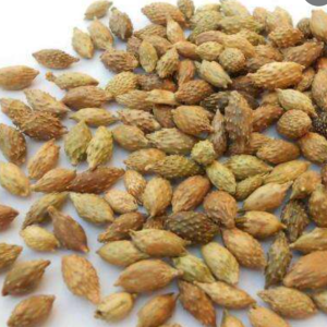 100g Natural Raw Herb Fructus Xanthii Siberici - Cang Er Zi - 苍耳子