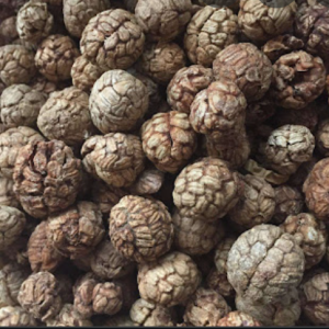 100g Natural Raw Herb Semen Alpiniae Katsumadai - Cao Dou Kou - 草豆蔻