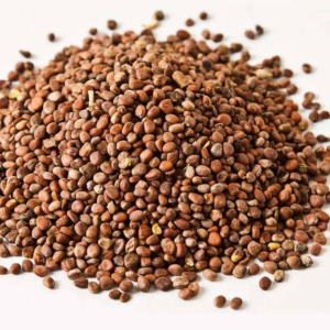 100g Natural Raw Herb Semen Raphani Sativi - Lai Fu Zi - 莱菔子