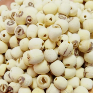 100g Natural Raw Herb Semen Nelumbinis Nuciferae - Lian Zi - 莲子