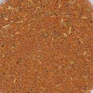 100g Natural Raw Herb Semen Descurainiae seu Lepidii - Ting Li Zi - 葶苈子