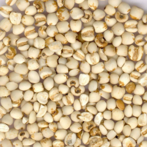 100g Natural Raw Herb Semen Zizyphi Spinosae - Yi Yi Ren - 薏苡仁