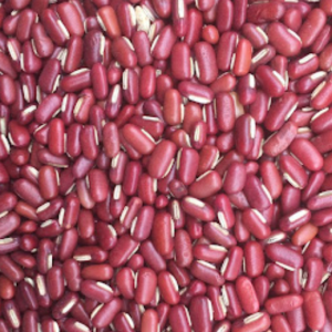 100g Natural Raw Herb Semen Phaseoli - Chi Xiao Dou - 赤小豆