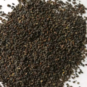 100g Natural Raw Herb Semen Plantaginis - Che Qian Zi - 车前子