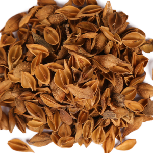 100g Natural Raw Herb Fructus Forsythiae Suspensae - Lian Qiao - 连翘