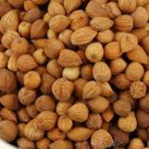 100g Natural Raw Herb Semen Pruni - Yu Li Ren - 郁李仁