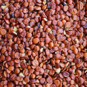 100g Natural Raw Herb Semen Zizyphi Spinosae - Suan Zao Ren - 酸枣仁