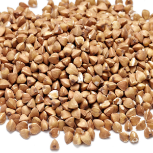 100g Natural Raw Herb Fagopyrum esculentum Moech. - Jin Qiao Mai - 金荞麦