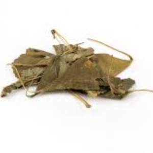 100g Natural Raw Herb Yin Xing Ye - Yin Xing Ye - 银杏叶