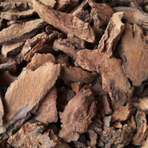 100g Natural Raw Herb Herba Cynomorii songarici - Suo Yang - 锁阳
