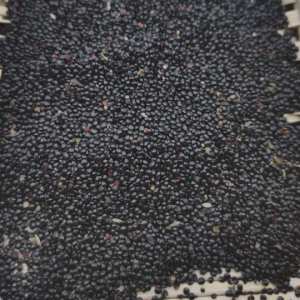 100g Natural Raw Herb Semen Celosiae Argentae - Qing Xiang Zi - 青葙子