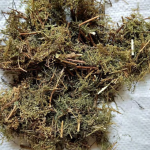 100g Natural Raw Herb Herba Artemisiae Apiaceae - Qing Hao - 青蒿