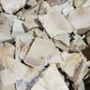 100g Natural Raw Herb Carapax trionycis - Bie Jia - 鳖甲