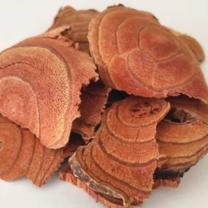 100g Natural Raw Herb Caulis Milletiae Seu Spatholobi - Ji Xue Teng - 鸡血藤