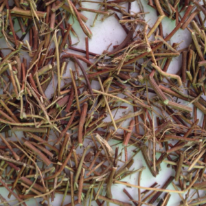 100g Natural Raw Herb Herba Abri fruticulosi - Ji Gu Cao - 鸡骨草