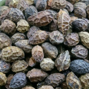 100g Natural Raw Herb Fructus Bruceae - Ya Dan Zi - 鸭胆子