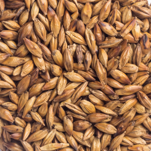 100g Natural Raw Herb Hordeum vulgare sprout, prepared - Mai Ya (Chao) - 麦芽(炒)