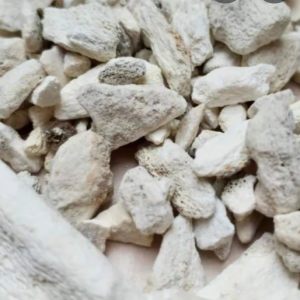 100g Natural Raw Herb Os Draconis - Long Gu - 龙骨